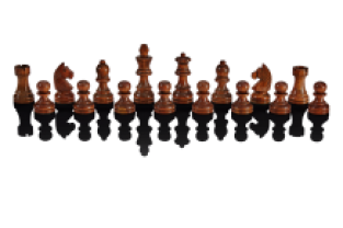 ChessGenius Exclusive